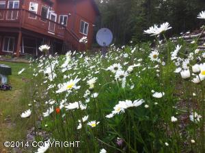 31445 Prudhoe Bay Ave, Eagle River, AK 99577 photo 41