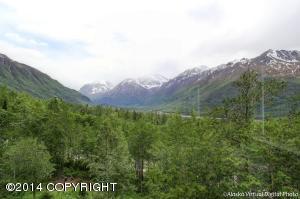 31445 Prudhoe Bay Ave, Eagle River, AK 99577 photo 23