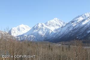 31445 Prudhoe Bay Ave, Eagle River, AK 99577 photo 43