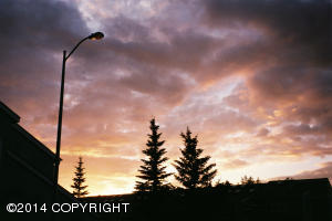 8233 Loganberry St, Anchorage, AK 99502 photo 10