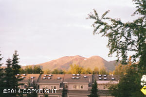 8233 Loganberry St, Anchorage, AK 99502 photo 13