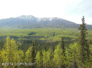 19514 Trail Bay Dr, Eagle River, AK 99577 photo 6