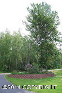 13810 Malaspina St, Eagle River, AK 99577 photo 4