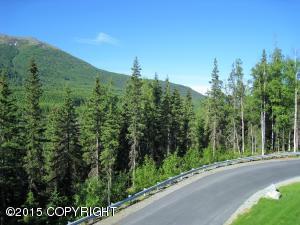20101 Riverside Dr # 1A, Eagle River, AK 99577 photo 39