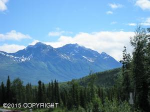 20101 Riverside Dr # 1A, Eagle River, AK 99577 photo 33