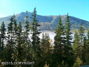 20101 Riverside Dr # 1A, Eagle River, AK 99577 photo 32