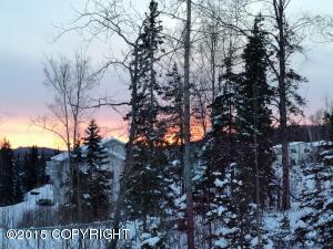 20101 Riverside Dr # 1A, Eagle River, AK 99577 photo 43