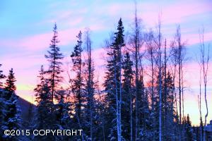 20101 Riverside Dr # 1A, Eagle River, AK 99577 photo 42