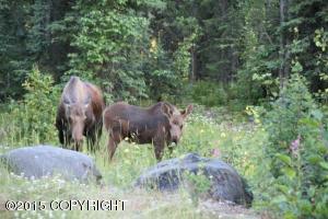 20101 Riverside Dr # 1A, Eagle River, AK 99577 photo 44