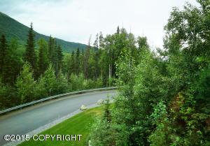 20101 Riverside Dr # 1A, Eagle River, AK 99577 photo 38