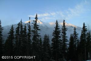 20101 Riverside Dr # 1A, Eagle River, AK 99577 photo 34