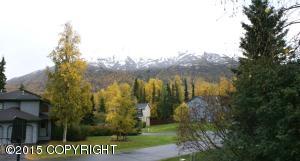 19311 Verdant Cir, Eagle River, AK 99577 photo 44