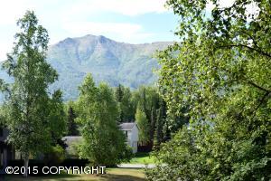 19311 Verdant Cir, Eagle River, AK 99577 photo 43