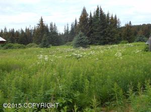 65047 Damar Loop, Homer, AK 99603 photo 1