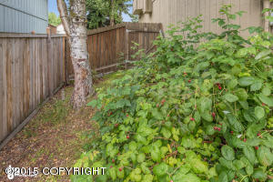 2320 Colony Loop, Anchorage, AK 99507 photo 23