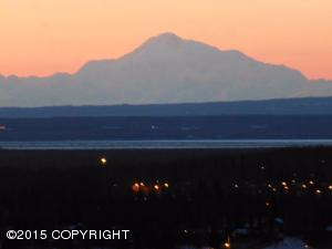 19005 Elnora Ln, Eagle River, AK 99577 photo 22