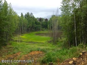 12733 Iris Way, Eagle River, AK 99577 photo 28