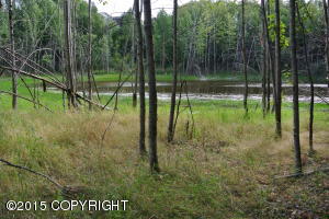 12733 Iris Way, Eagle River, AK 99577 photo 29