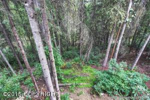 12733 Iris Way, Eagle River, AK 99577 photo 17