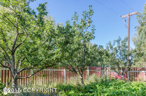 4591 E Kilo Dr, Wasilla, AK 99654 photo 28
