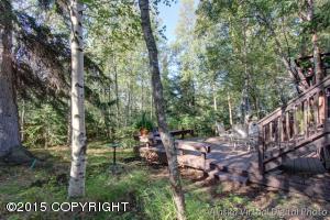 10630 E Tree Dr, Anchorage, AK 99507 photo 13