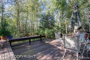 10630 E Tree Dr, Anchorage, AK 99507 photo 12
