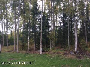 24739 Teal Loop, Chugiak, AK 99567 photo 23