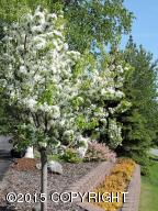 22915 Eagle Glacier Loop, Eagle River, AK 99577 photo 18
