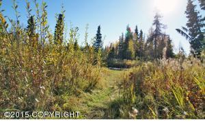 4530 Wright St # 14, Anchorage, AK 99507 photo 20