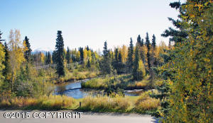4530 Wright St # 14, Anchorage, AK 99507 photo 19