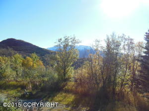 20125 Middle Rd, Eagle River, AK 99577 photo 20