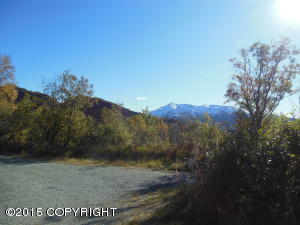 20125 Middle Rd, Eagle River, AK 99577 photo 23