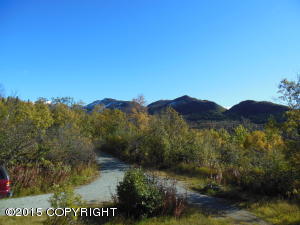 20125 Middle Rd, Eagle River, AK 99577 photo 3