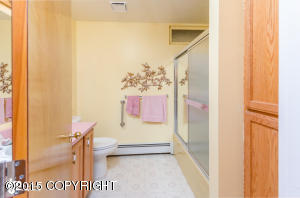 12401 E Outer Springer Loop, Palmer, AK 99645 photo 20
