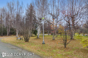 12401 E Outer Springer Loop, Palmer, AK 99645 photo 2