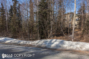 19926 War Admiral Rd, Eagle River, AK 99577 photo 5
