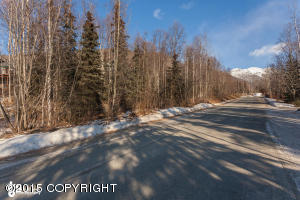 19926 War Admiral Rd, Eagle River, AK 99577 photo 7