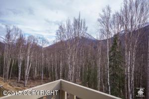 20962 Trailhead Ave # 18, Eagle River, AK 99577 photo 25