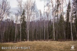 20962 Trailhead Ave # 18, Eagle River, AK 99577 photo 24