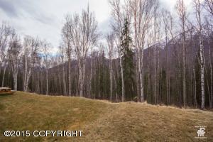 20962 Trailhead Ave # 18, Eagle River, AK 99577 photo 23