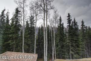 25560 Denaina Dr, Eagle River, AK 99577 photo 31