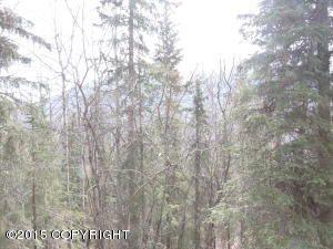 19140 Babrof Dr, Eagle River, AK 99577 photo 10