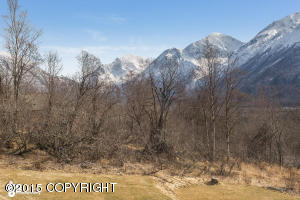 30650 Sagwon Ave, Eagle River, AK 99577 photo 32