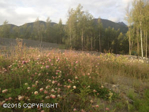 20397 Icefall Dr, Eagle River, AK 99577 photo 5