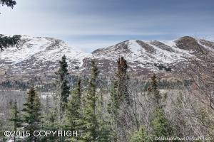 1336 Hiland Rd, Eagle River, AK 99577 photo 22