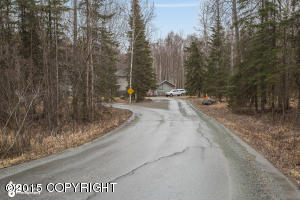 16652 River Heights Loop # 36, Eagle River, AK 99577 photo 25