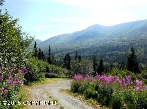 3308 Sun Valley Dr, Eagle River, AK 99577 photo 8