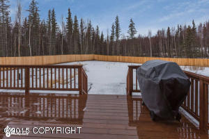 459 E Birchtree Dr, Wasilla, AK 99654 photo 13