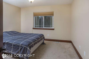 459 E Birchtree Dr, Wasilla, AK 99654 photo 4