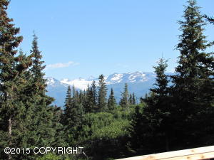 33610 Patsys Rd, Homer, AK 99603 photo 28